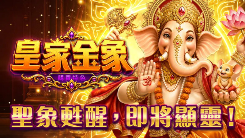 RSG皇家金象